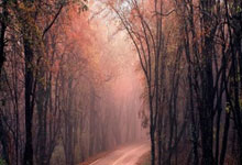 周继红卸任游协掌门人，看看谁的接任概率最大？.