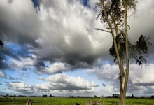 图片报：拜仁对阿芳二次检查属预防措施，结果发现他赛季报销.