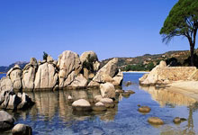 北汽主场不敌浙江稠州队，打进常规赛前四处于被动局面.